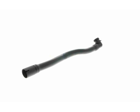 Hose, cylinder head cover breather Original VAICO Quality, Image 7