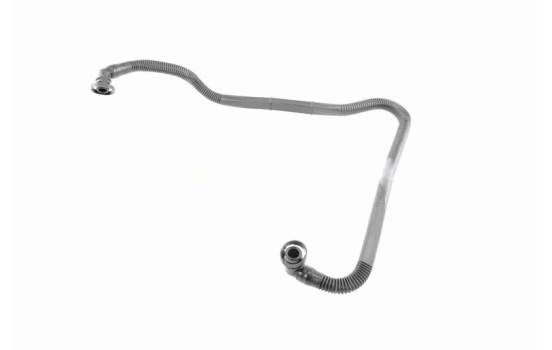 Hose, cylinder head cover breather Original VAICO Quality, Image 3