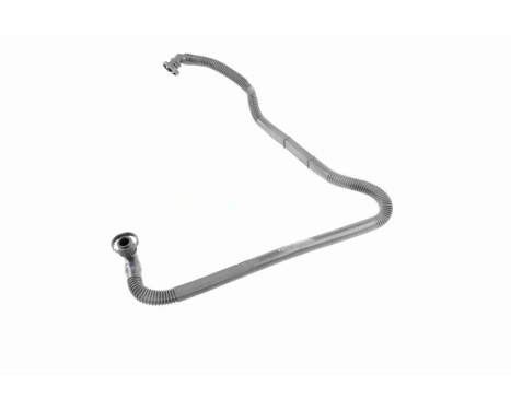 Hose, cylinder head cover breather Original VAICO Quality, Image 6