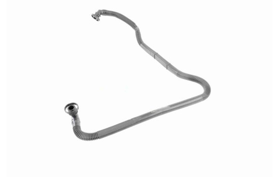 Hose, cylinder head cover breather Original VAICO Quality, Image 4