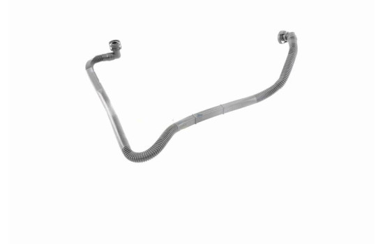 Hose, cylinder head cover breather Original VAICO Quality, Image 6