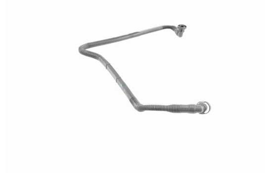 Hose, cylinder head cover breather Original VAICO Quality, Image 8