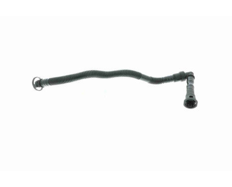 Hose, cylinder head cover breather Original VAICO Quality, Image 5