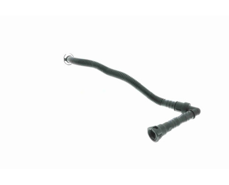 Hose, cylinder head cover breather Original VAICO Quality, Image 6