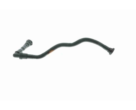 Hose, cylinder head cover breather Original VAICO Quality, Image 9
