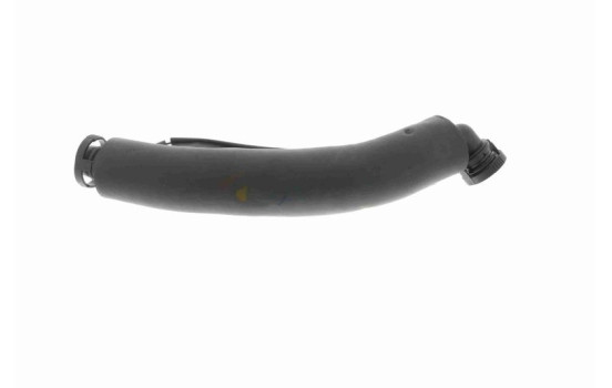 Hose, cylinder head cover breather Original VAICO Quality, Image 6