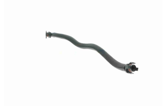 Hose, cylinder head cover breather Original VAICO Quality, Image 3