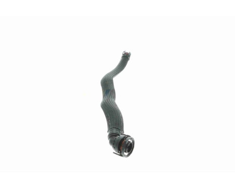 Hose, cylinder head cover breather Original VAICO Quality, Image 10