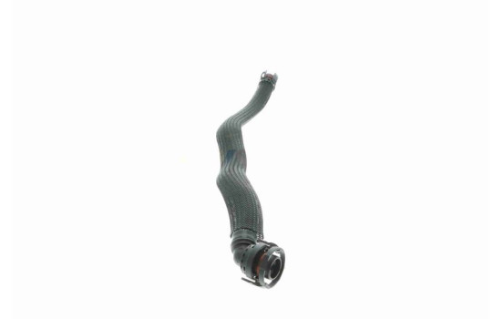 Hose, cylinder head cover breather Original VAICO Quality, Image 8