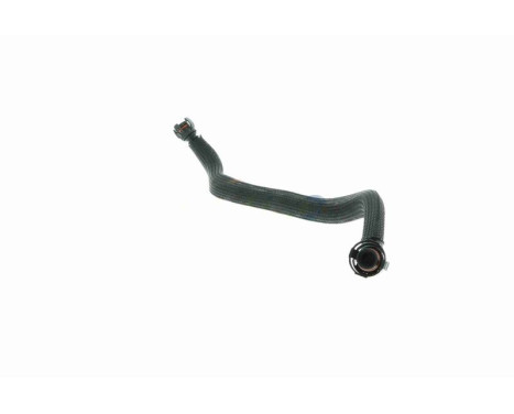 Hose, cylinder head cover breather Original VAICO Quality, Image 5