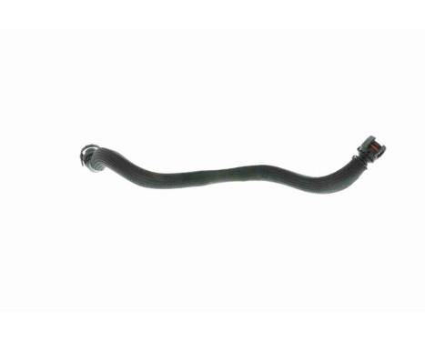Hose, cylinder head cover breather Original VAICO Quality, Image 8