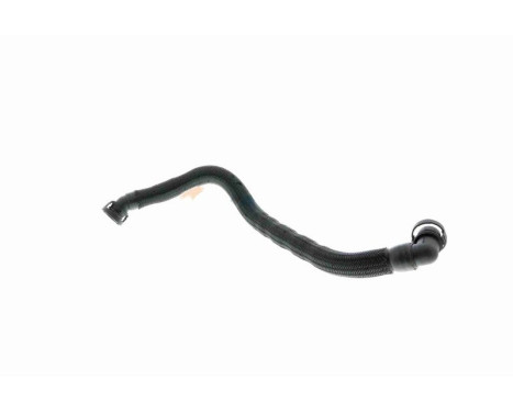 Hose, cylinder head cover breather Original VAICO Quality, Image 3