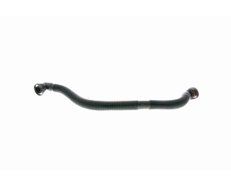 Hose, cylinder head cover breather Original VAICO Quality, Image 4