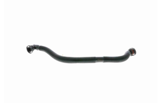 Hose, cylinder head cover breather Original VAICO Quality, Image 2