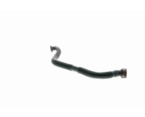 Hose, cylinder head cover breather Original VAICO Quality, Image 5