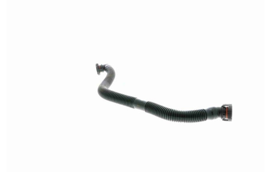 Hose, cylinder head cover breather Original VAICO Quality, Image 3