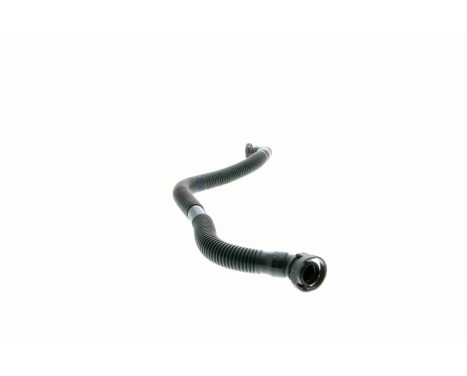 Hose, cylinder head cover breather Original VAICO Quality, Image 6