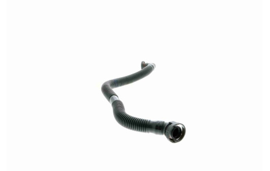 Hose, cylinder head cover breather Original VAICO Quality, Image 4