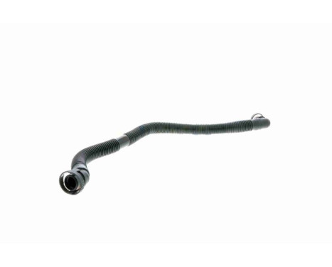 Hose, cylinder head cover breather Original VAICO Quality, Image 7
