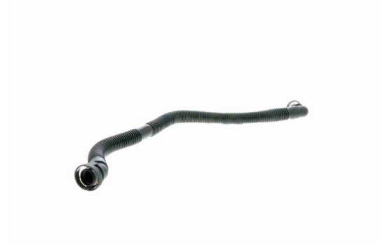 Hose, cylinder head cover breather Original VAICO Quality, Image 5
