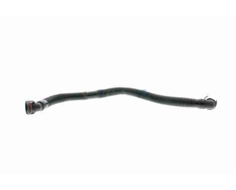 Hose, cylinder head cover breather Original VAICO Quality, Image 8
