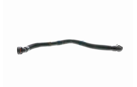 Hose, cylinder head cover breather Original VAICO Quality, Image 6