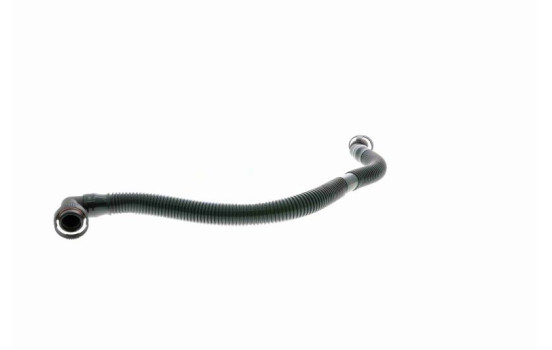 Hose, cylinder head cover breather Original VAICO Quality, Image 9