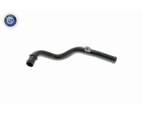 Hose, cylinder head cover breather Q+, original equipment manufacturer quality MADE IN GERMANY, Image 4