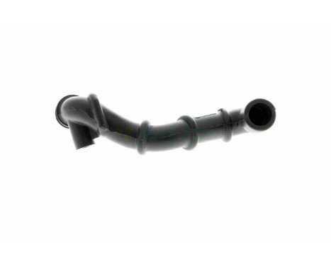Hose, cylinder head cover breather Q+, original equipment manufacturer quality, Image 4
