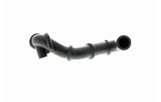 Hose, cylinder head cover breather Q+, original equipment manufacturer quality, Image 2