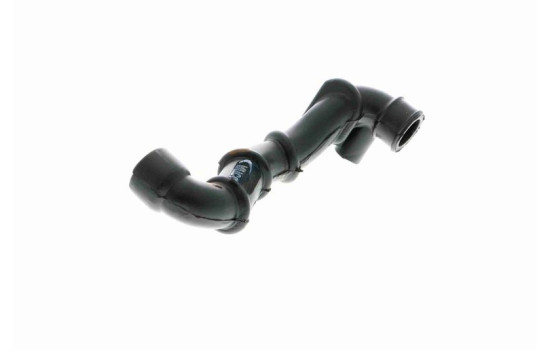Hose, cylinder head cover breather Q+, original equipment manufacturer quality, Image 5