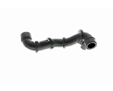 Hose, cylinder head cover breather Q+, original equipment manufacturer quality, Image 8