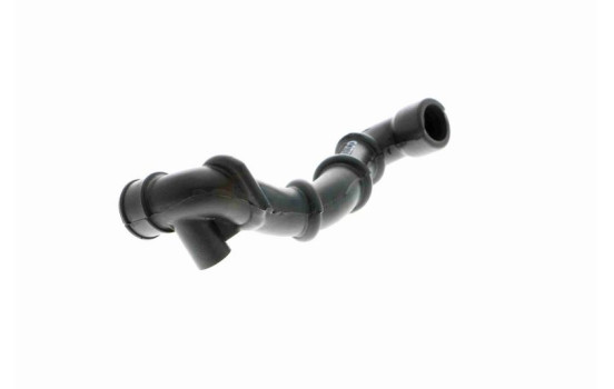 Hose, cylinder head cover breather Q+, original equipment manufacturer quality, Image 9