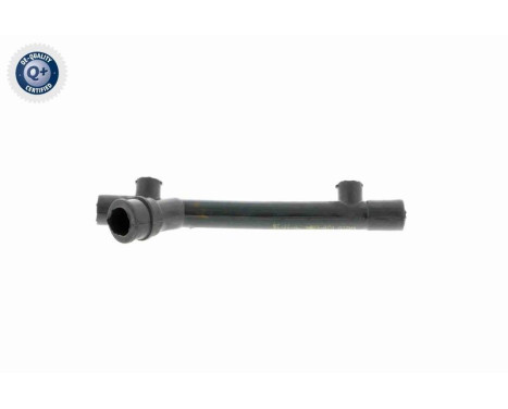 Hose, cylinder head cover breather Q+, original equipment manufacturer quality, Image 4