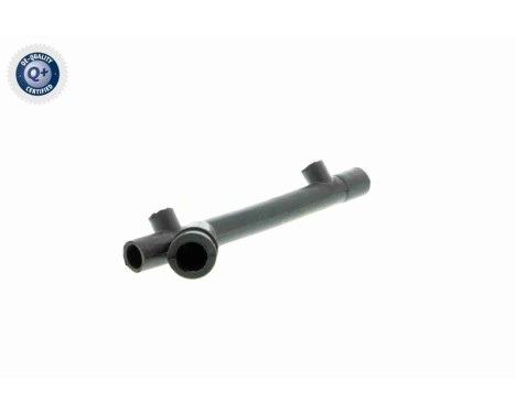 Hose, cylinder head cover breather Q+, original equipment manufacturer quality, Image 11
