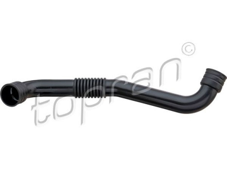 Hose, cylinder head cover breather