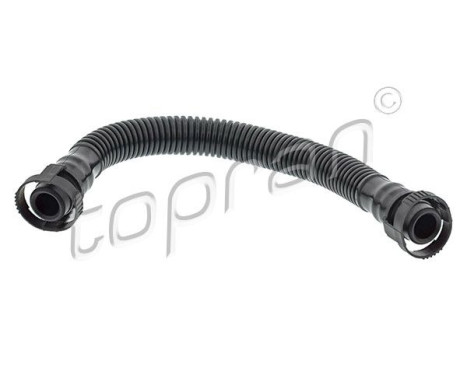 Hose, cylinder head cover breather