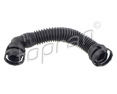 Hose, cylinder head cover breather