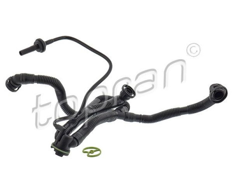Hose, cylinder head cover breather