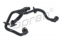 Hose, cylinder head cover breather