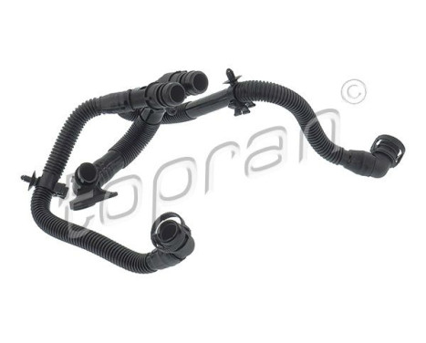 Hose, cylinder head cover breather