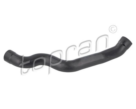 Hose, cylinder head cover breather