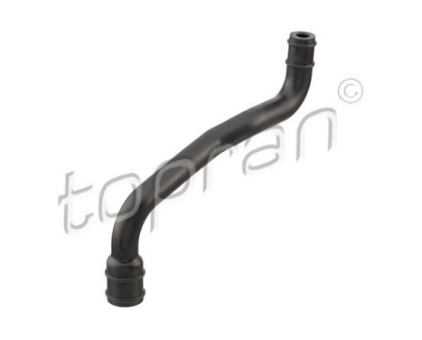 Hose, cylinder head cover breather