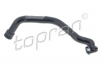 Hose, cylinder head cover breather