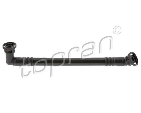 Hose, cylinder head cover breather