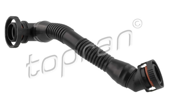 Hose, cylinder head cover breather