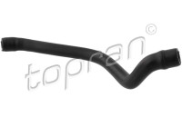 Hose, cylinder head cover breather