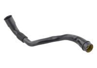 Hose, cylinder head cover breather