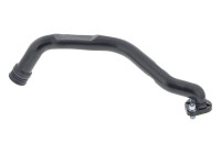 Hose, cylinder head cover breather