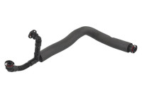 Hose, cylinder head cover breather
